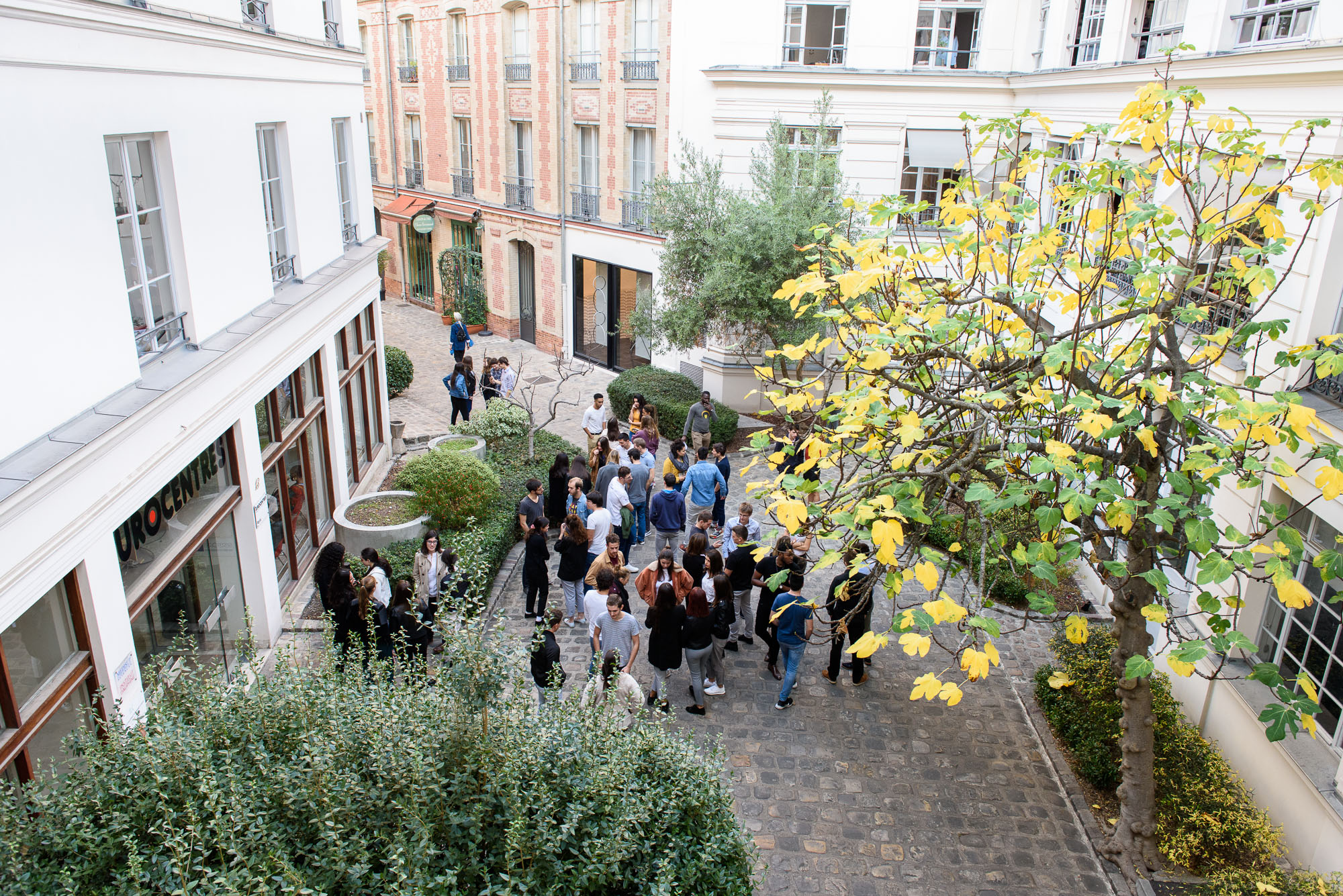 ecole-osteopathie