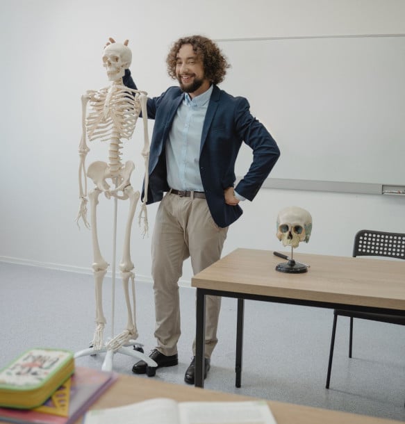 Osteopathie anatomie